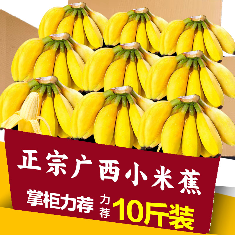 广西小米蕉当季水果新鲜10斤自然熟香蕉整箱苹果香蕉粉芭蕉甜包邮