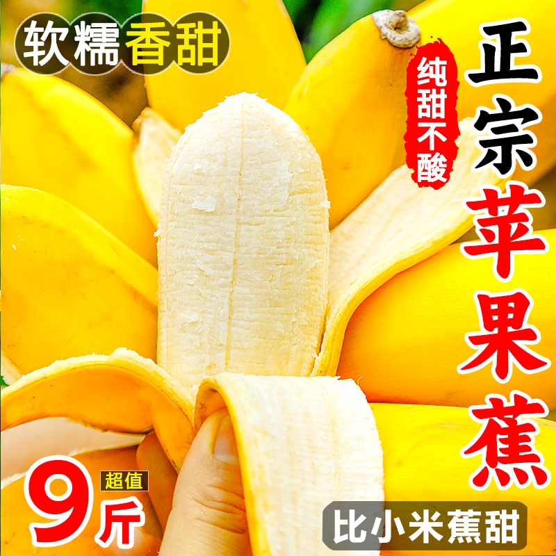 广西苹果蕉当季新鲜水果现摘10斤整箱自然熟孕妇小米蕉香蕉粉蕉甜