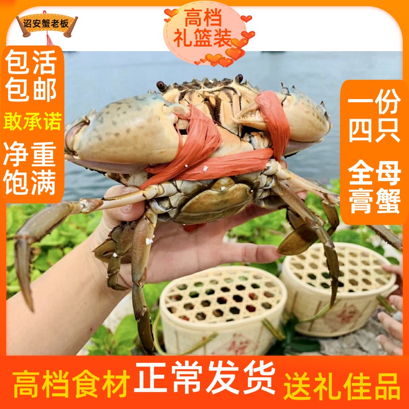 鲜活膏蟹