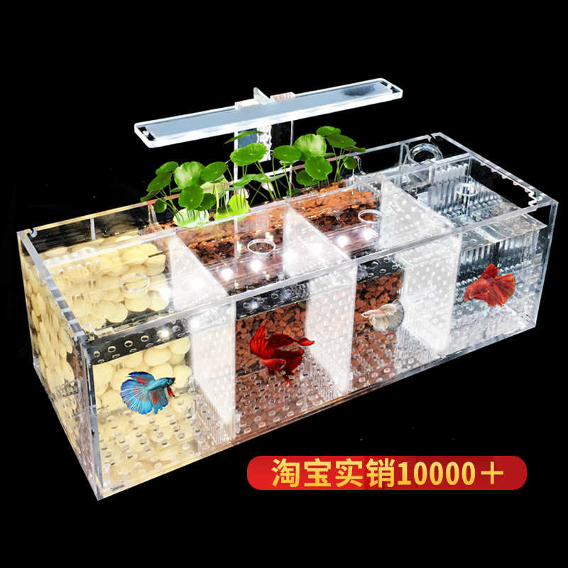 斗鱼缸繁殖孵化隔离盒免换水桌面小型亚克力生态创意专业用组排缸