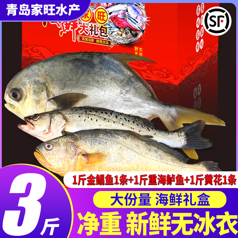 青岛家旺水产新鲜黄花鱼1条金鲳鱼1条鲈鱼1条新鲜海鱼年货礼盒