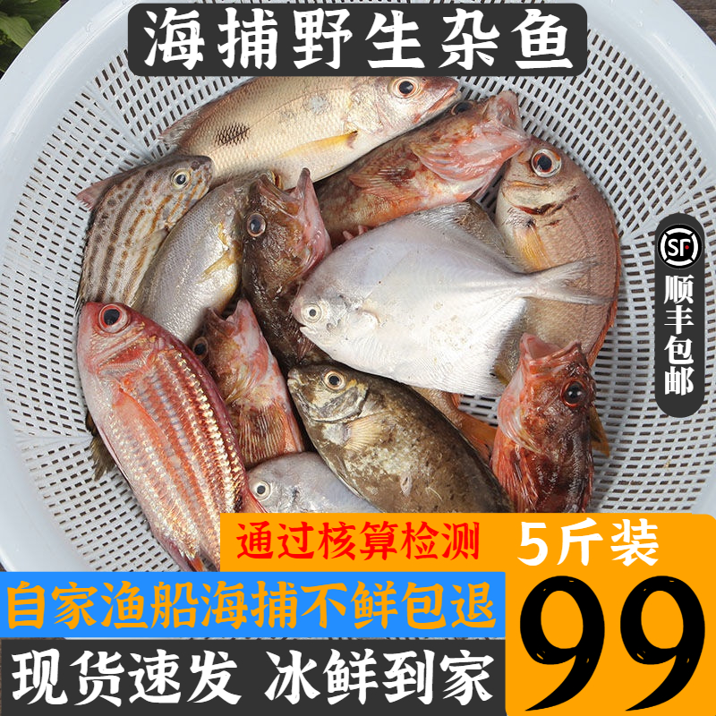 野生海杂鱼鲳鱼黄花鱼海鲈鱼鳘鱼踏板鱼台霸鱼随机发货5斤送半斤