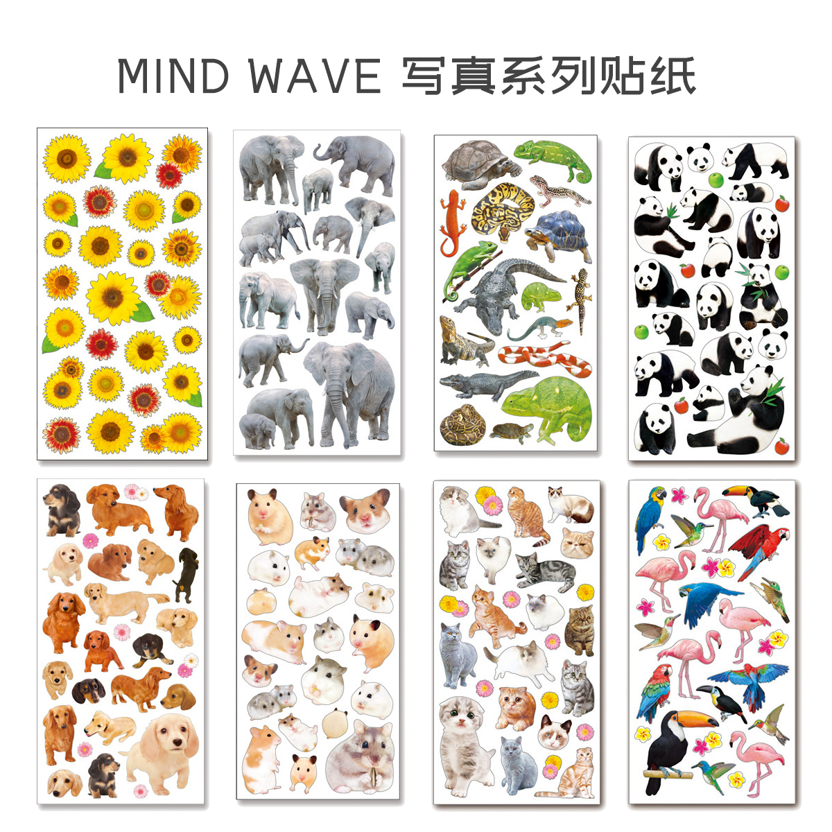 日本Mind Wave贴纸 照片写真花朵系列植物动物 儿童认知 装饰贴画
