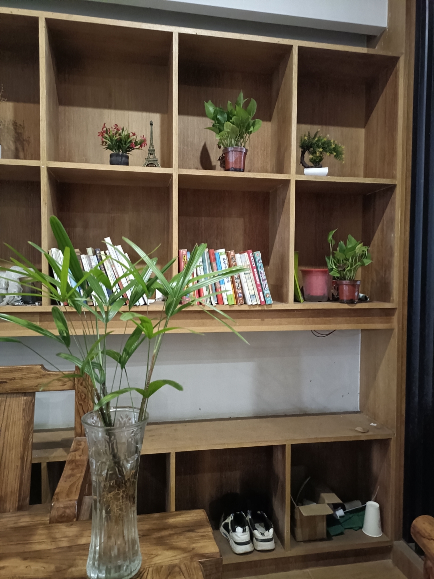 金山棕竹水培花卉水养绿植客厅摆放招财水培植物办公室桌面懒人花