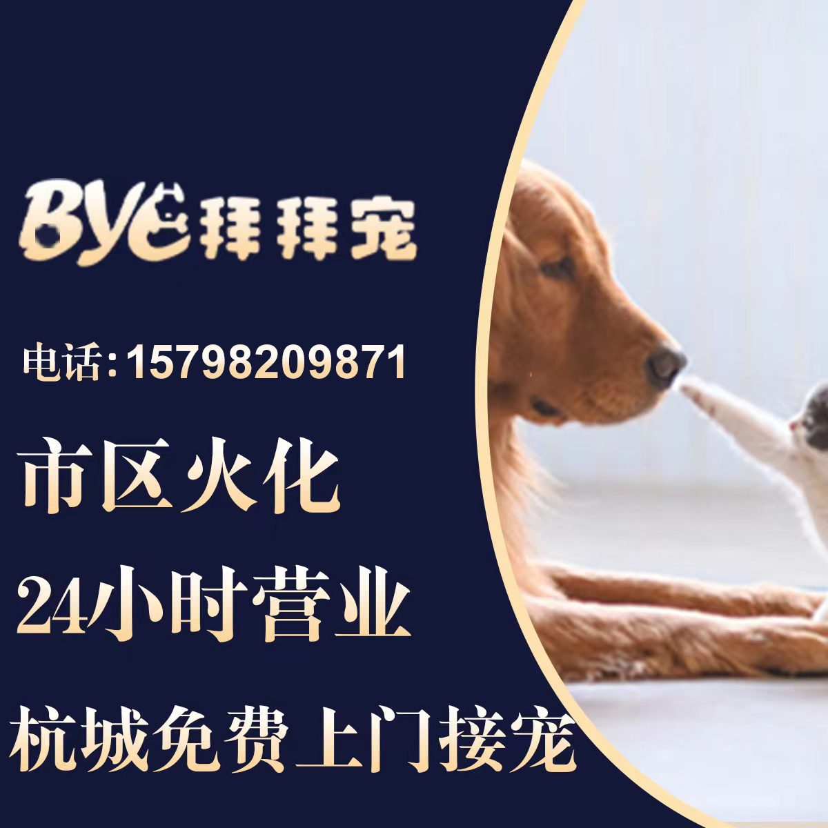 杭州全城24小时免费上门宠物火化殡葬猫狗动物安葬善后善终服务