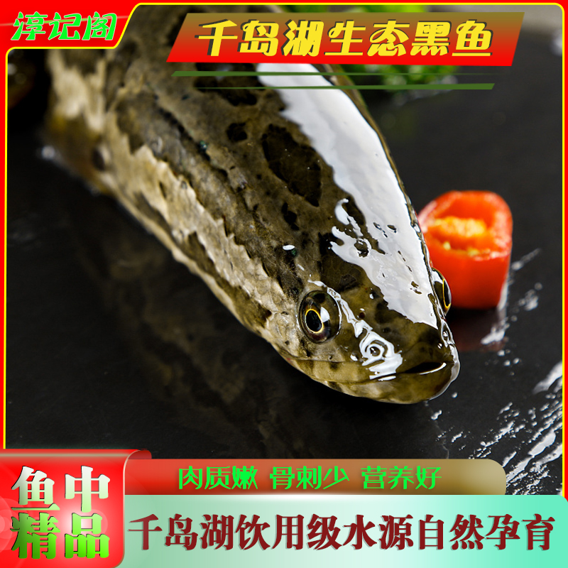 杭州千岛湖生态大黑鱼乌鱼财鱼蛇鱼肉质紧实细腻老少皆宜顺丰包邮
