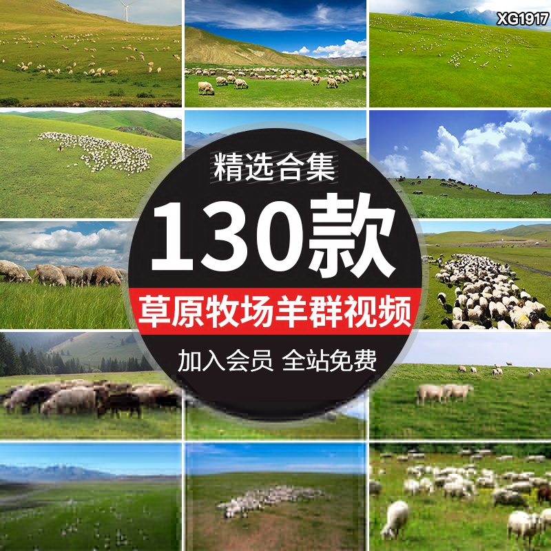 大草原羊群牧羊放牧场畜牧业放羊绵羊养草地航拍高清实拍视频素材