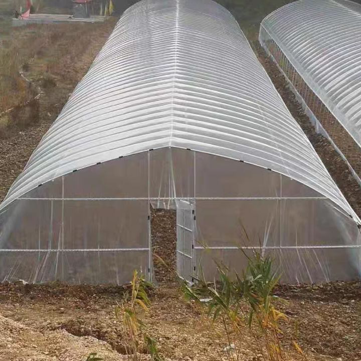 625825大棚骨架钢管钢架温室养殖种植草莓蔬菜花卉椭圆管鸡鸭猪棚