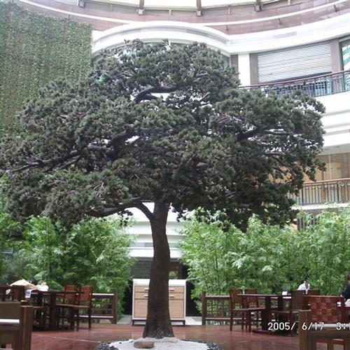 定做玻璃钢树仿真树大型松树迎客松商场酒店办公大楼别墅装饰