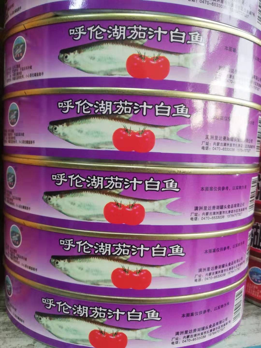 产地发货内蒙古达赉湖呼伦湖特产淡水鱼罐头茄汁白鱼