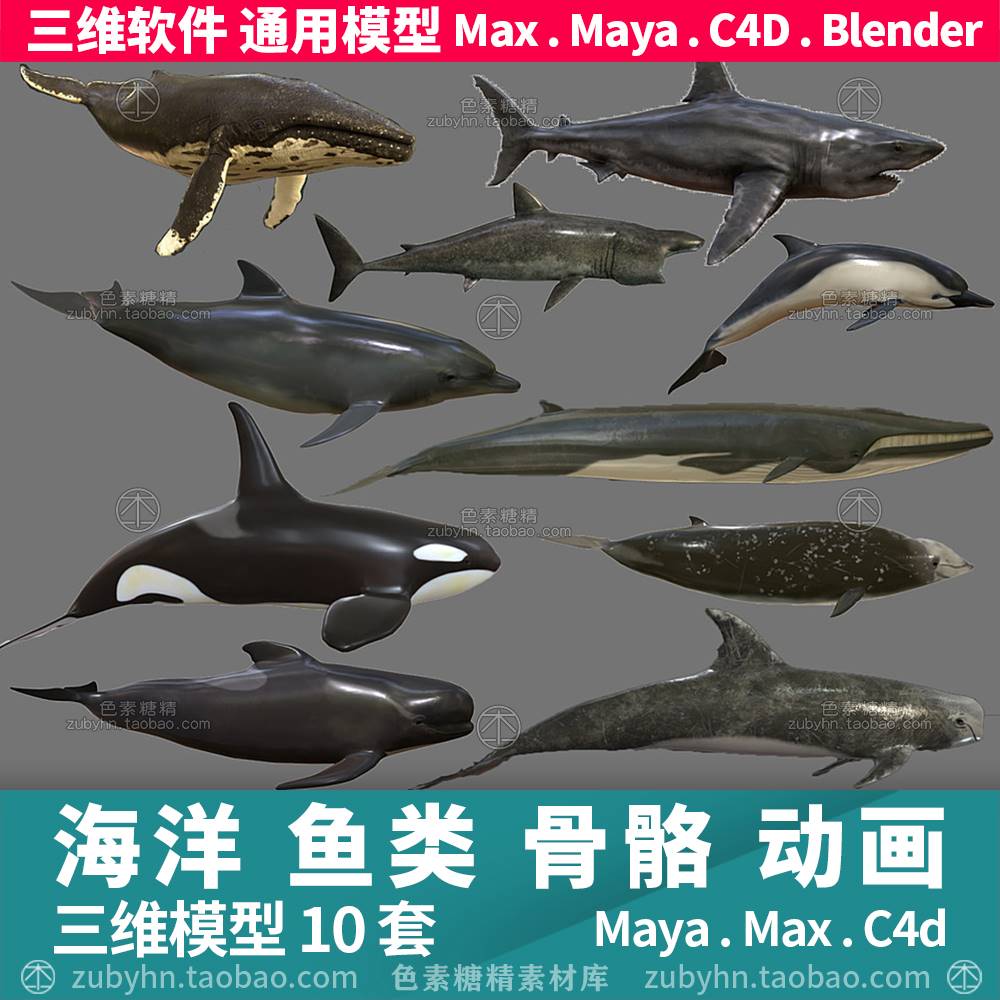海洋大型鱼类鲨鱼鲸鱼海豚模型骨骼动画3d三维模型maya3dmaxc4d