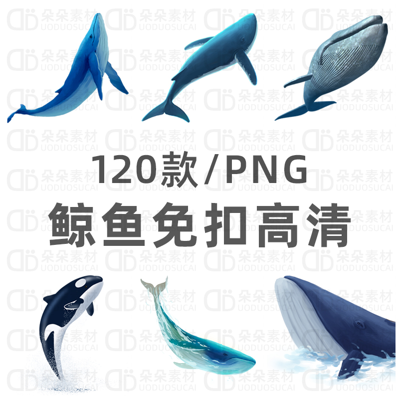 鲸鱼免扣png高清ps素材透明背景海鲸黑虎鲸蓝鲸手绘插画广告设计