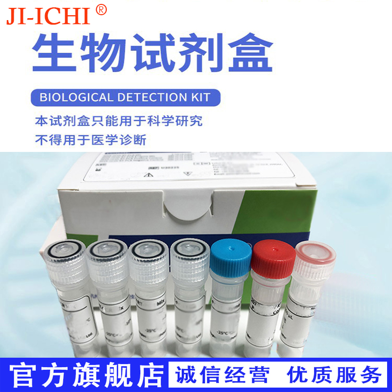 人（Human）空肠弯曲杆菌IgG抗体（CJ-IgG） ELISA检测试剂盒