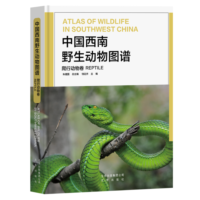 中国西南野生动物图谱-爬行动物卷书朱建 大众自然科学书籍