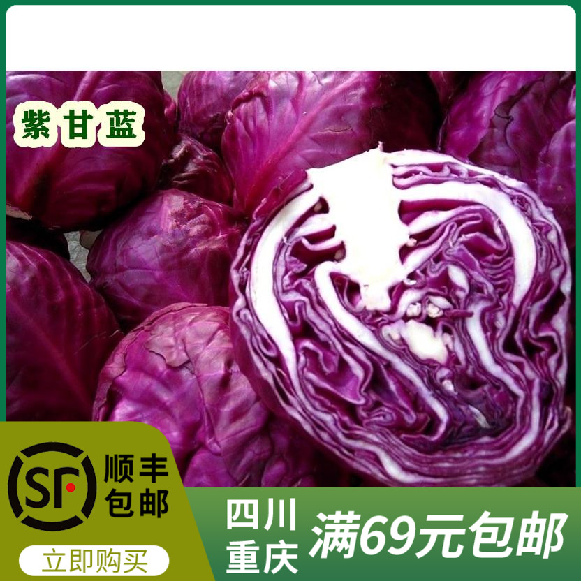人唯贵新鲜紫甘蓝蔬菜沙拉西餐厅红包菜1000g重庆四川满69元包邮