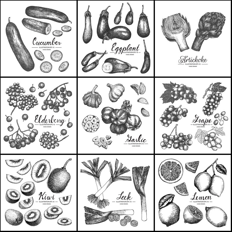 黑白素描手绘蔬菜水果农业矢量插画插图平面设计素材大葱萝卜菠萝