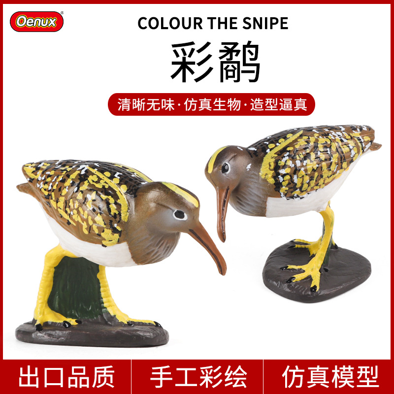 儿童仿真动物模型鹬科模型湿地鸟类展览馆道具海鸥彩鹬鸽子玩具