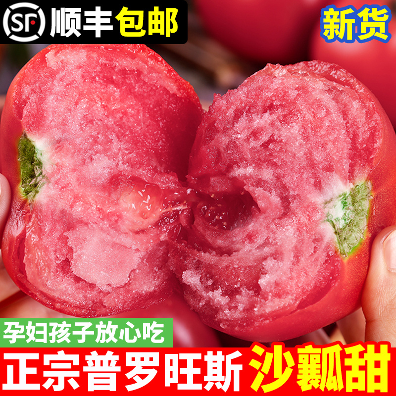 陕西泾阳普罗旺斯西红柿新鲜自然熟蔬菜草莓心水果当季沙瓤大番茄