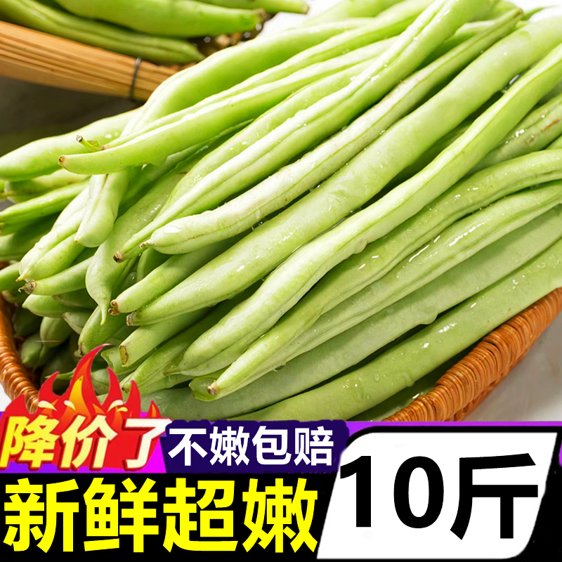 云南新鲜四季豆10斤现摘青豆角荷兰豆农家蔬菜蚕豆甜豆毛豆四角豆