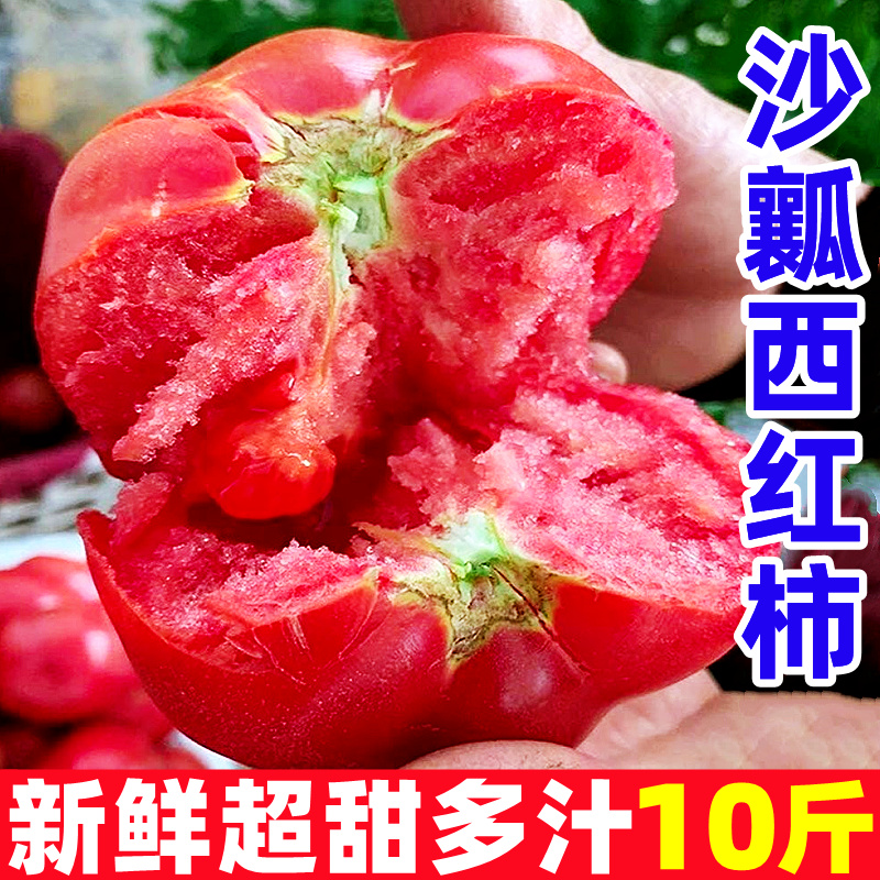 西红柿新鲜水果10斤普罗旺斯沙瓤西红柿自然熟大番茄生吃草莓柿子