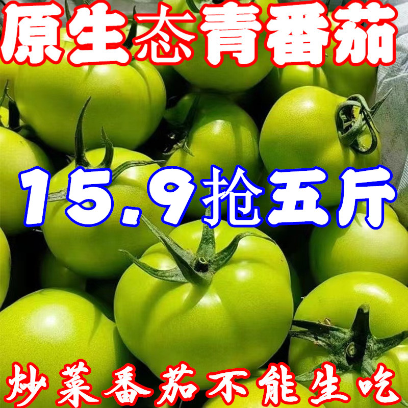 青番茄新鲜现摘蔬菜绿番茄青西红柿未熟西红柿绿皮柿子青番茄包邮