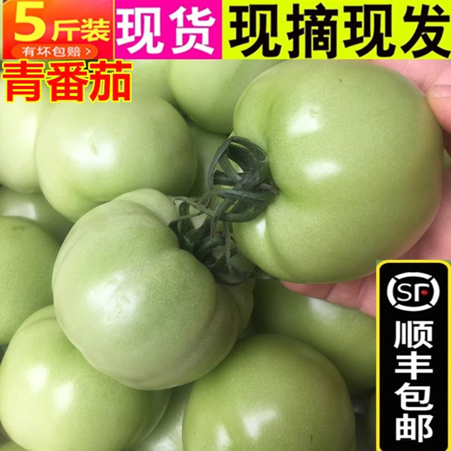 【顺丰包邮】5斤新鲜青西红柿青番茄农家蔬菜孕妇酸番茄生绿柿子