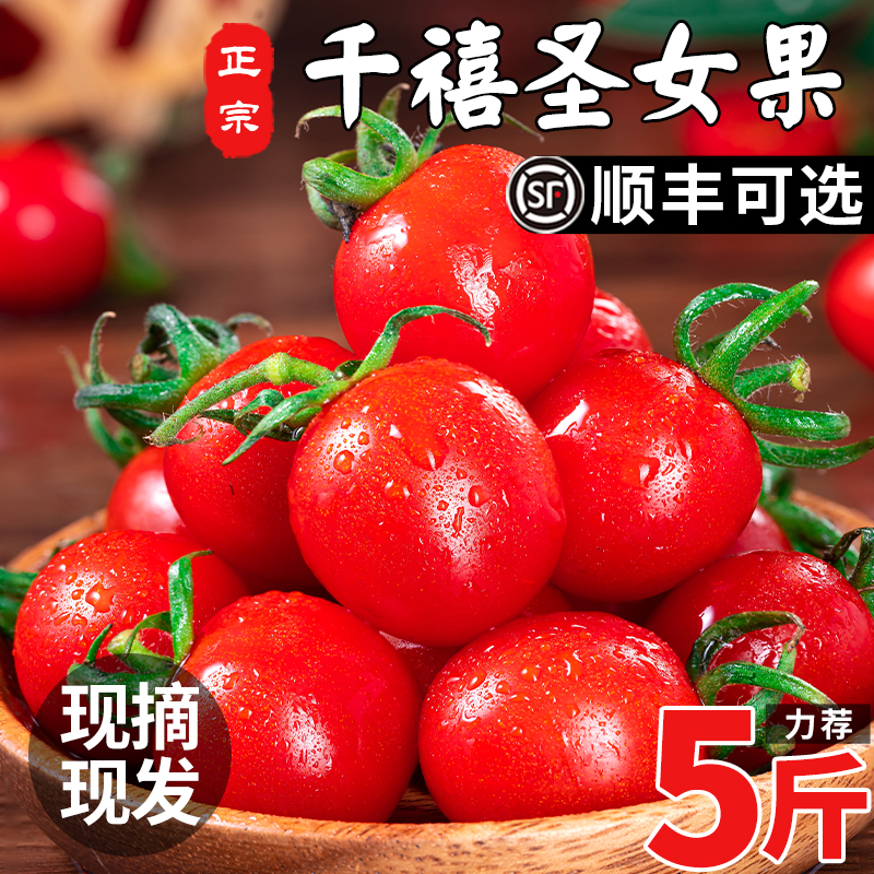 千禧果小番茄5斤圣女果新鲜现摘西红柿水果自然熟樱桃超甜蔬菜籽