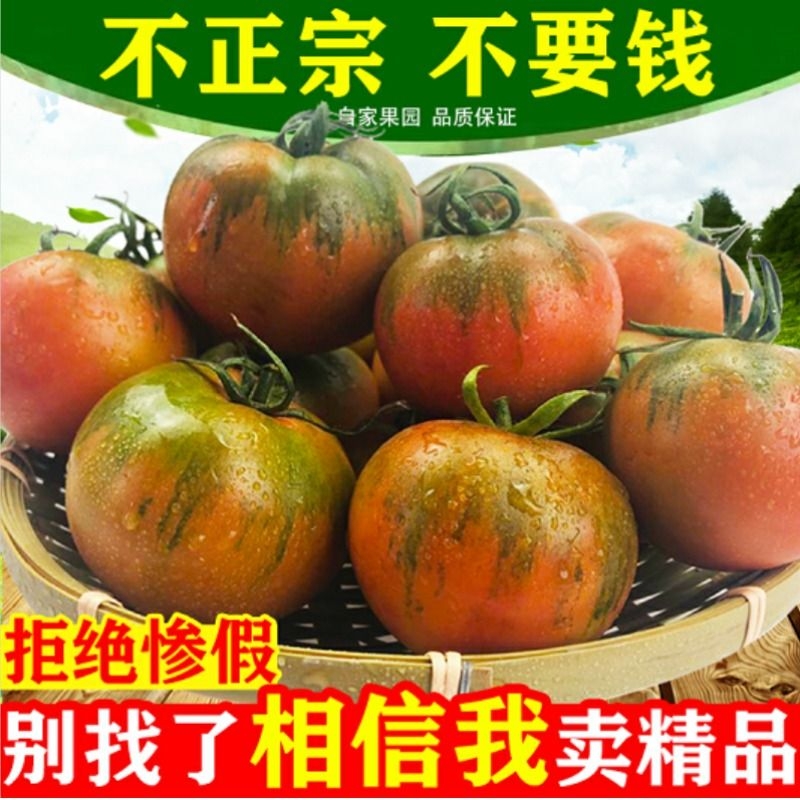 正宗丹东铁皮柿子自然熟碱地即食生吃新鲜绿腚番茄水果草莓西红柿