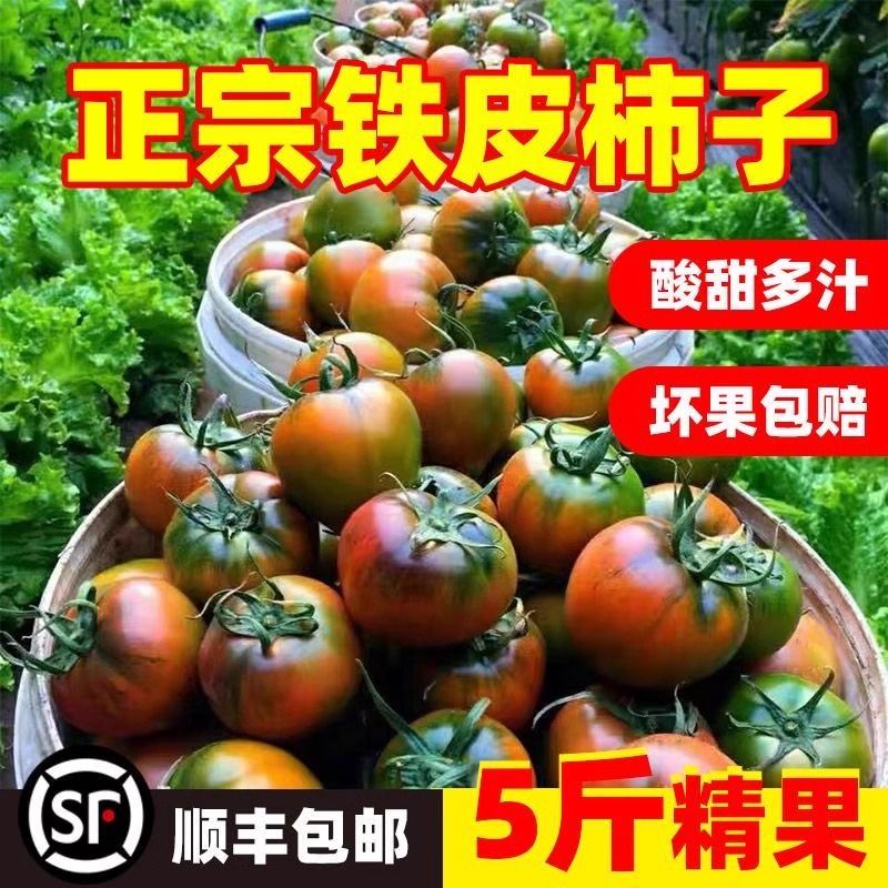 丹东铁皮柿子西红柿新鲜自然熟绿腚草莓番茄生吃水果斤碱地农家