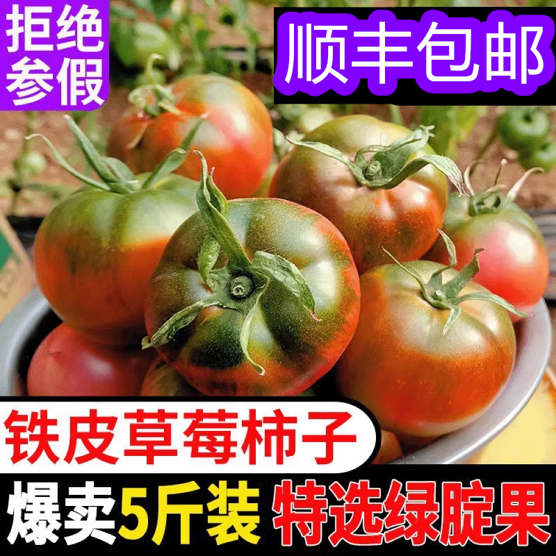 丹东铁皮柿子草莓西红柿东北绿腚番茄碱地油柿子新鲜水果5斤包邮