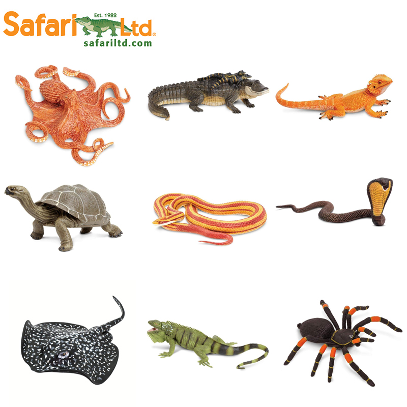 美国safari儿童仿真稀奇动物模型蝙蝠蜥蜴蜘蛛乌龟蛇鱼玩具桌摆件