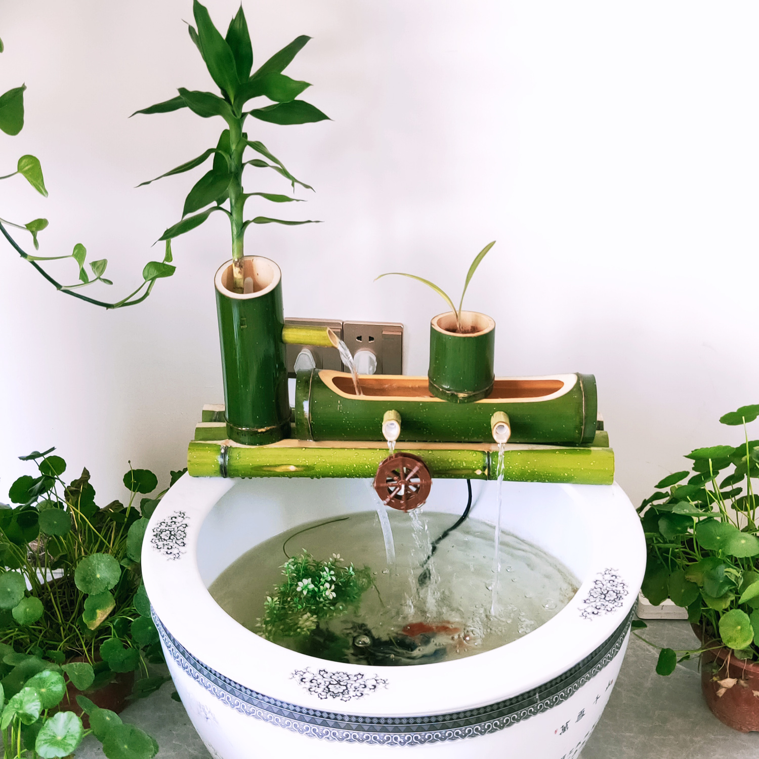乌龟缸鱼缸生态缸青竹过滤系统美观竹筒绿色摆件水循环自制喷泉