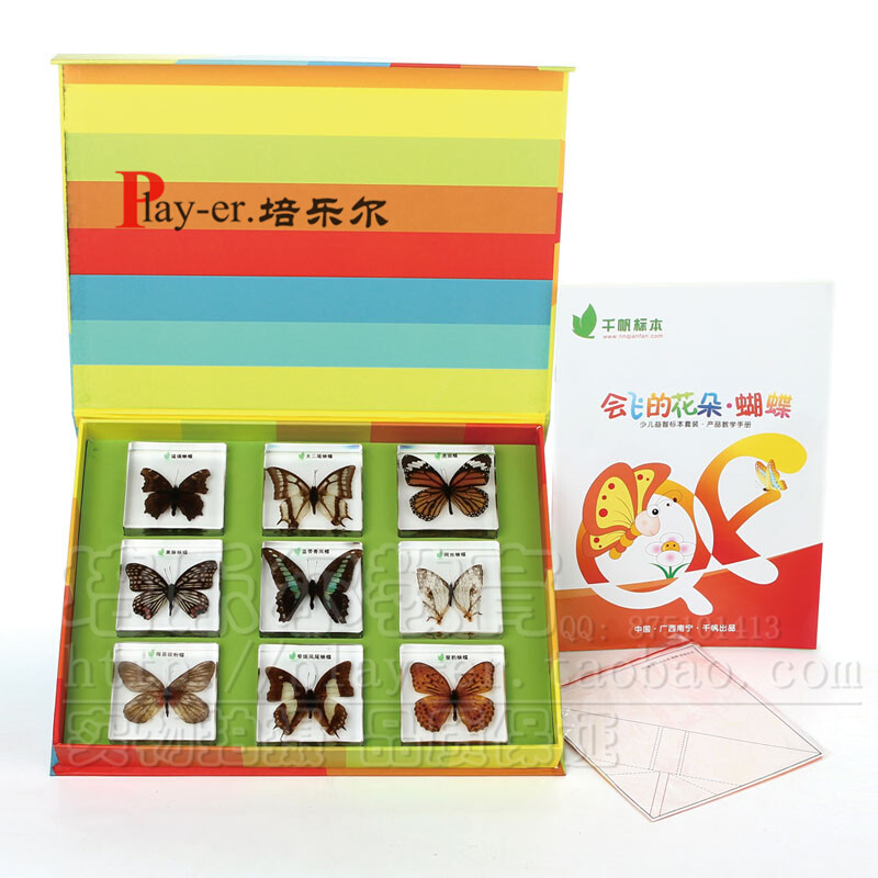 会飞的花朵蝴蝶儿童幼儿园科学实验室认识9种常见的蝴蝶包埋标本