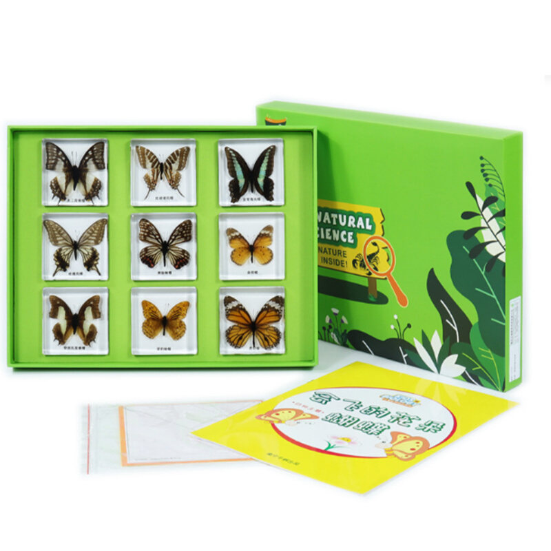 千千谷 会飞的花朵蝴蝶幼儿园儿童科学实验室9种常见蝴蝶包埋标本