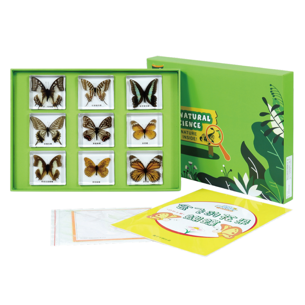 会飞的花朵蝴蝶幼儿园儿童科学实验室认识9种常见的蝴蝶包埋标本