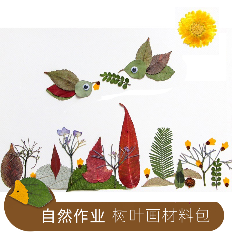 儿童diy树叶粘贴画 幼儿园学生创意手工花草制作植物标本材料套装