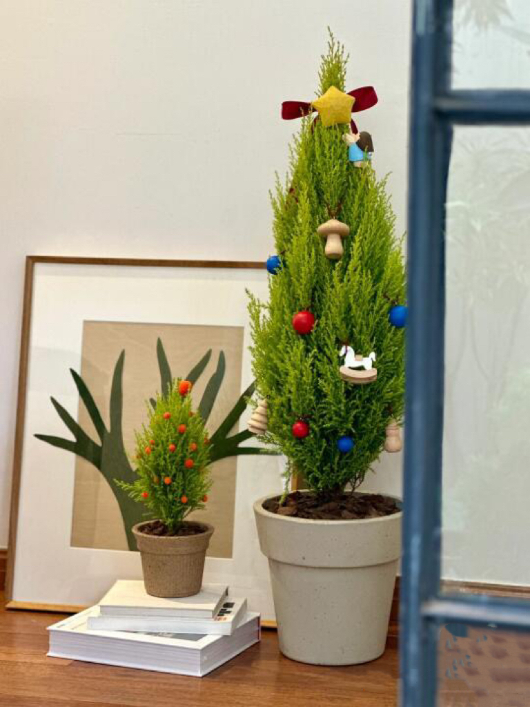小香松圣诞树4050厘米北京发货简单好养绿植盆栽室内室外网红植物