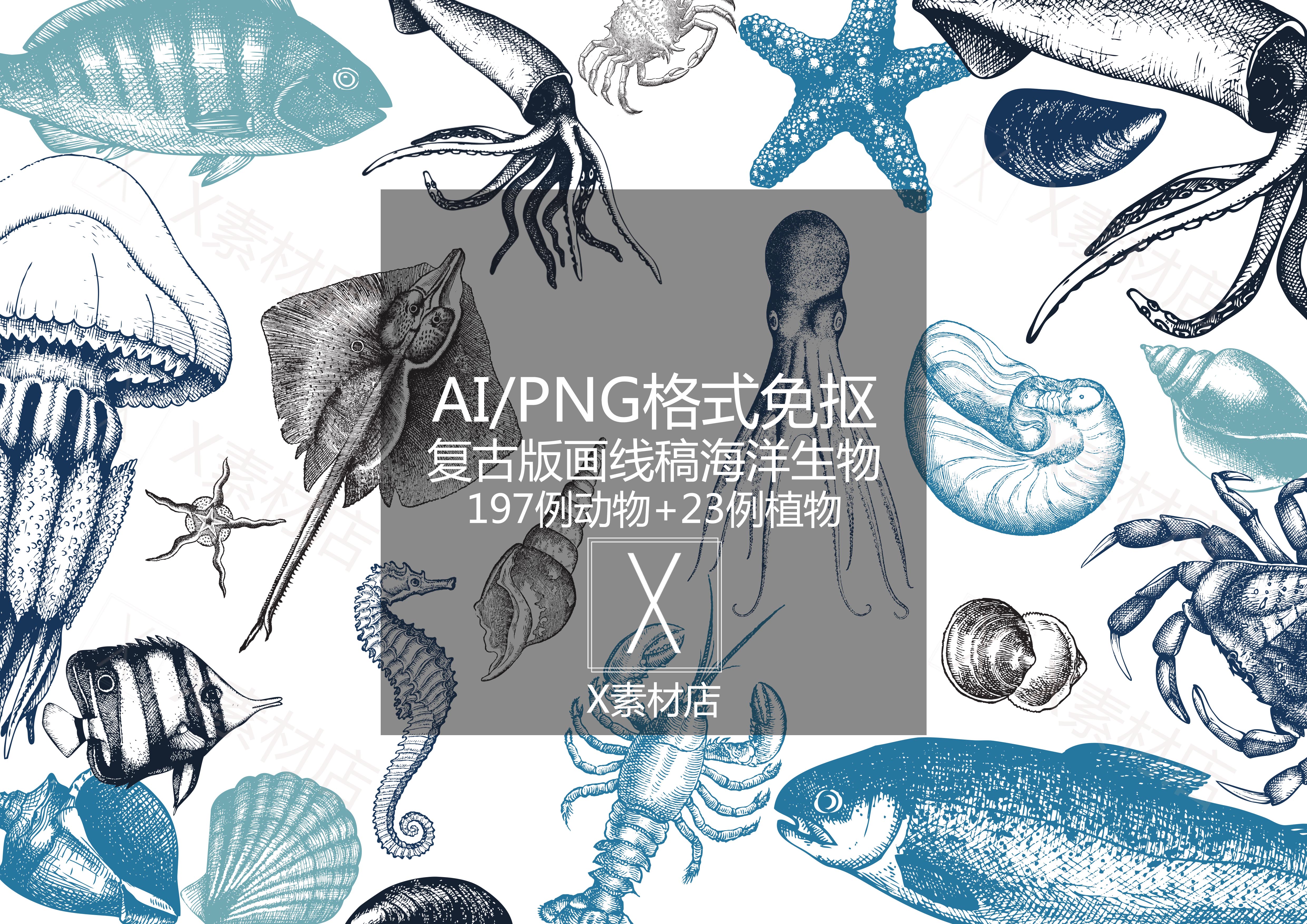 AI/PNG复古版画线稿 手绘海洋生物海藻虾蟹鱼贝壳素材拼贴collage