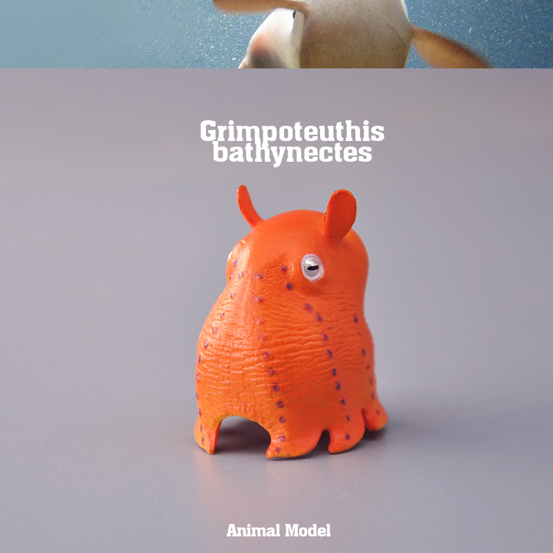 外单正品 正版仿真动物模型 野生海洋 小飞象章鱼  男孩儿童玩具