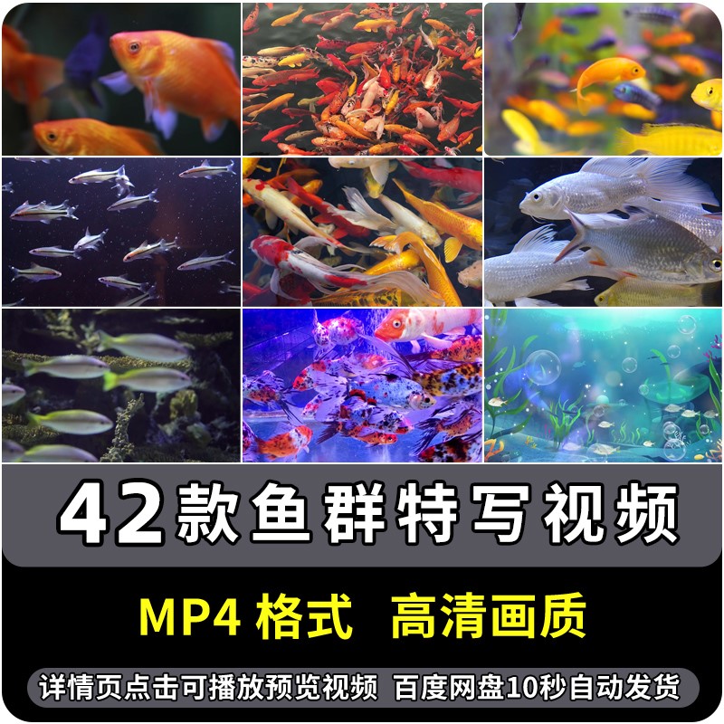 海底世界鱼群特写镜头MP4背景视频大屏LED剪辑素材高清