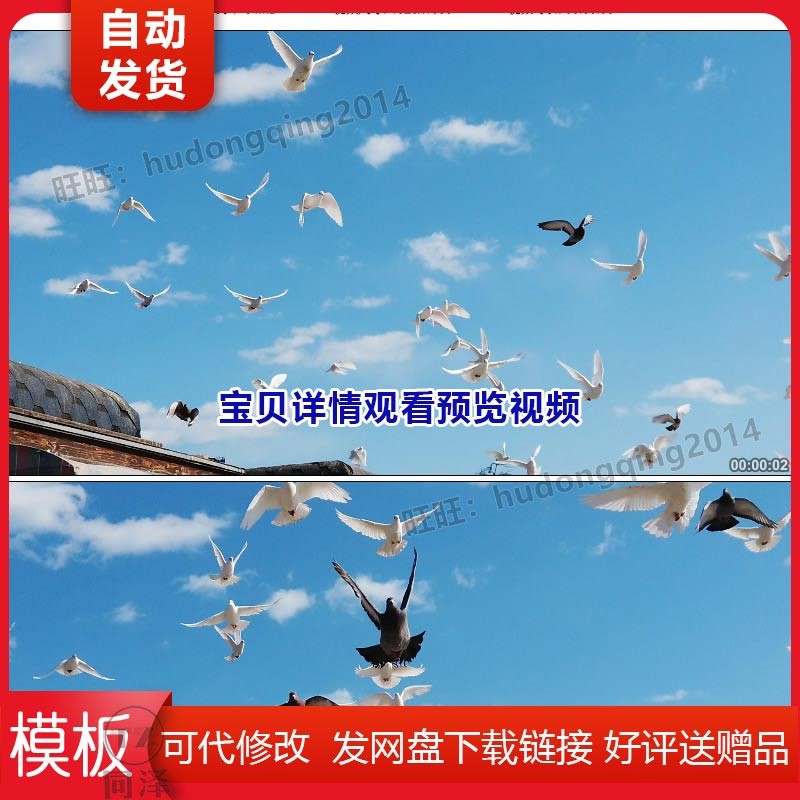 大气国庆蓝天白云白鸽和平鸽慢镜飞翔翱翔视频素材