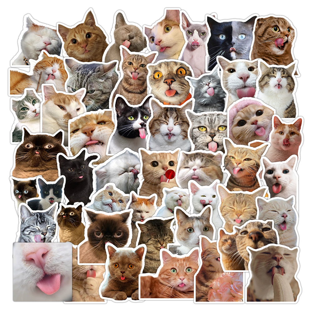 50张猫猫贴纸网红猫咪表情包涂鸦贴纸可爱搞怪搞笑猫咪头像贴画