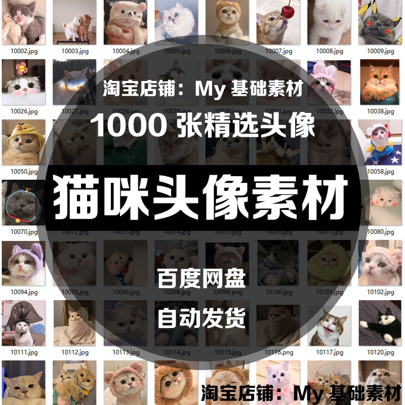宠物猫咪男女生微信QQ聊天界面可爱个性化头像jpg图片素材 源文件