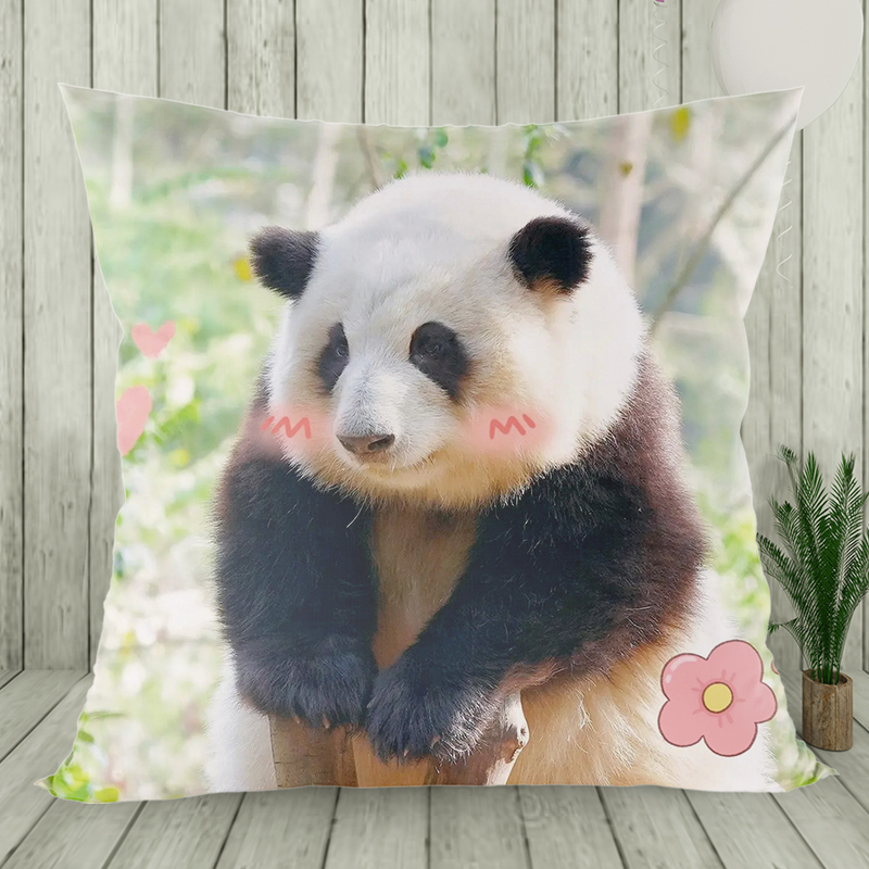 网红大熊猫花花和花周边抱枕可爱方形靠枕沙发客厅坐垫居家靠枕垫
