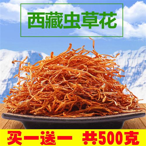 西藏野生虫草花干货级正品泡酒孢子头一斤金虫草新鲜菇煲汤材料