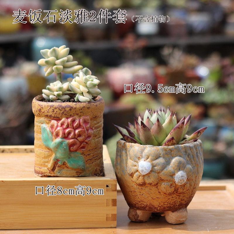 麦饭石多肉花盆透气韩式桌面浮雕手绘绿植老桩花卉简约