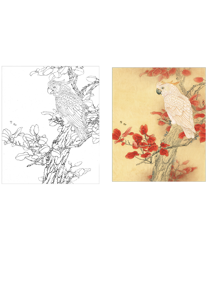 工笔画打印白描底稿李晓明竖幅小品红叶鹦鹉初学者临摹过稿练习