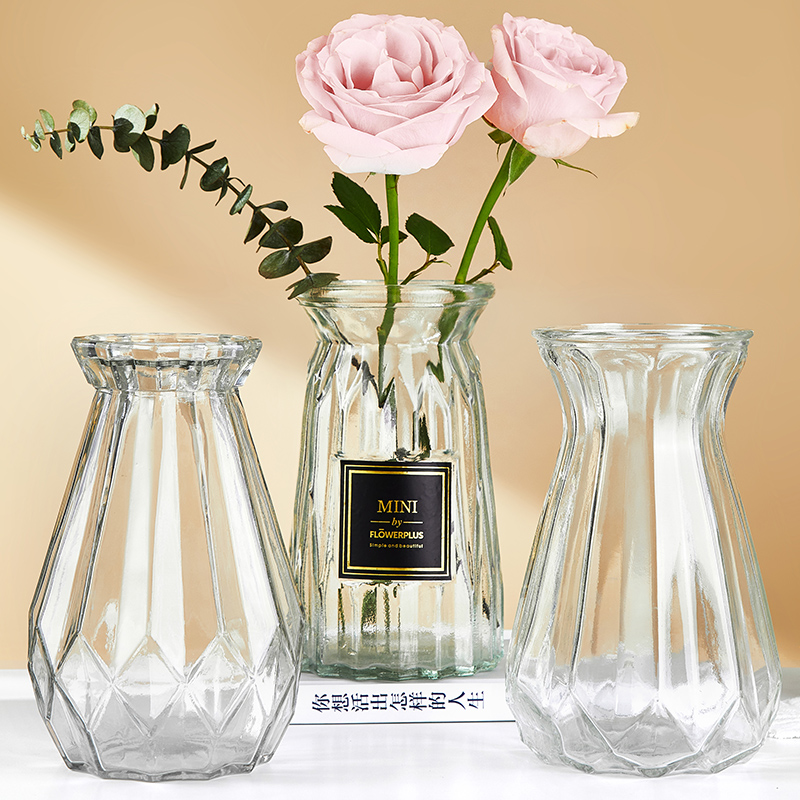 北欧ins风简约现代透明玻璃花瓶水培植物鲜花插花瓶居家装饰摆件
