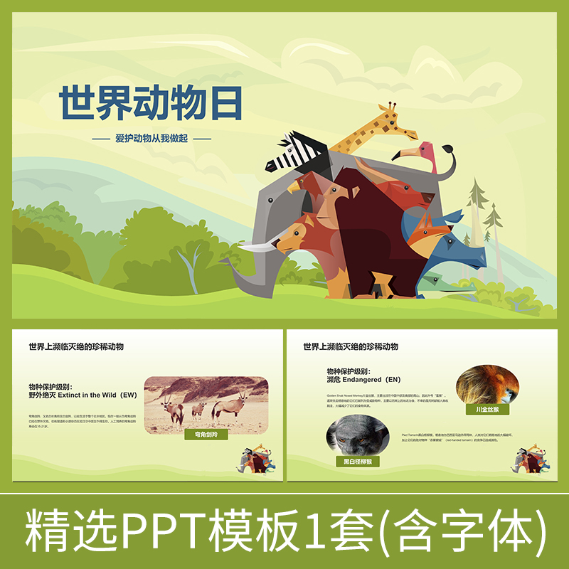 Z005世界动物日爱护动物野生濒临灭绝环境珍稀动物大自然ppt模板