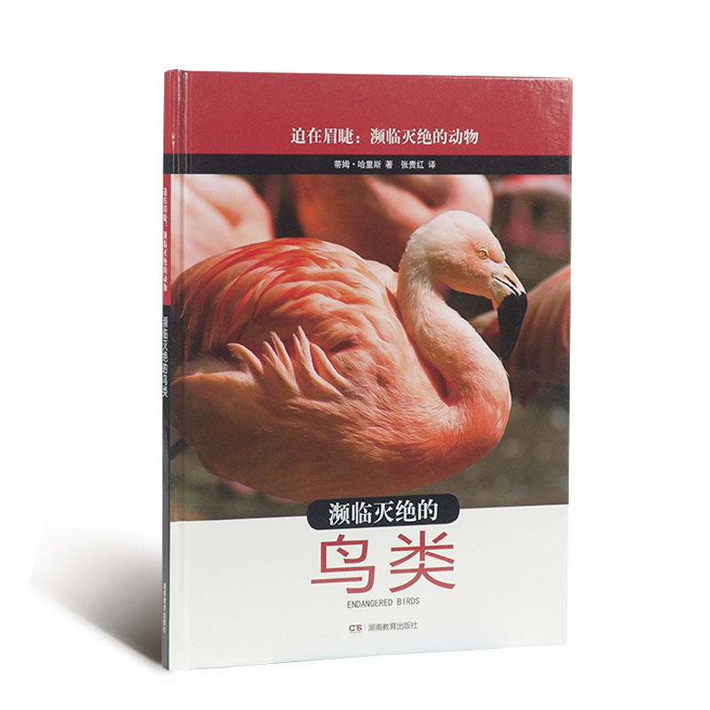 《迫在眉睫 濒临灭绝的动物》 系列 濒临灭绝的鸟类 湖南教育出版社 正版